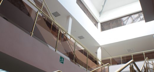 Лестница. Библиотека Амур Санана